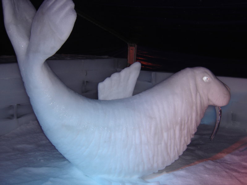 ***************** Hei feelt eng Foto **************